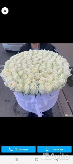 Розы 25 51 101 роза