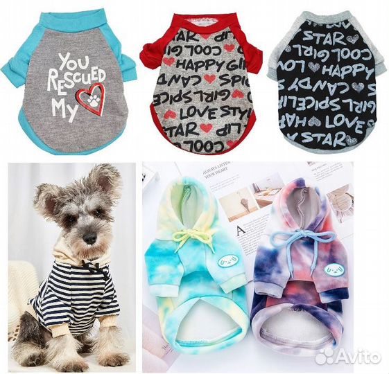 Много одежды для собак: кофты, жилетки и футболки