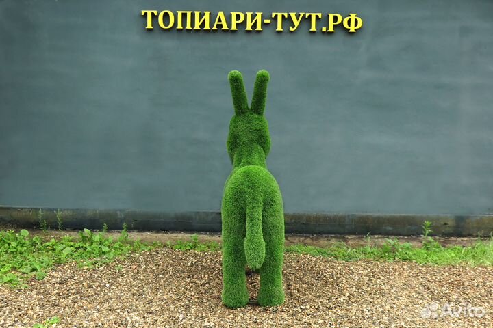 Топиари Топиарные фигуры Садовые фигуры