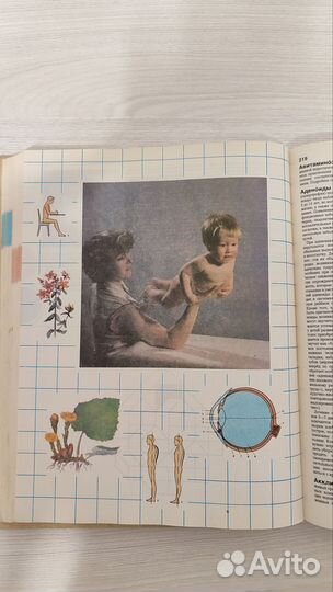 Краткая энциклопедия домашнего хозяйства