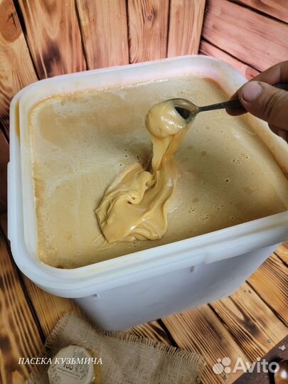 Мед алтайский оптом с пасеки