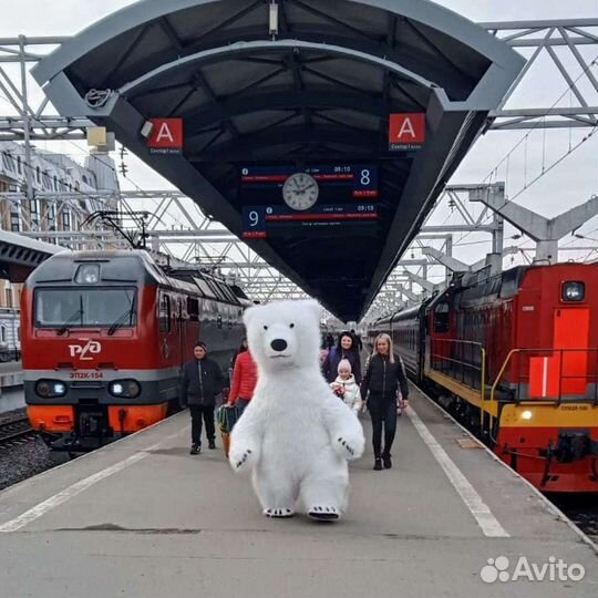 Поздравление от белого мишки медведь на праздник