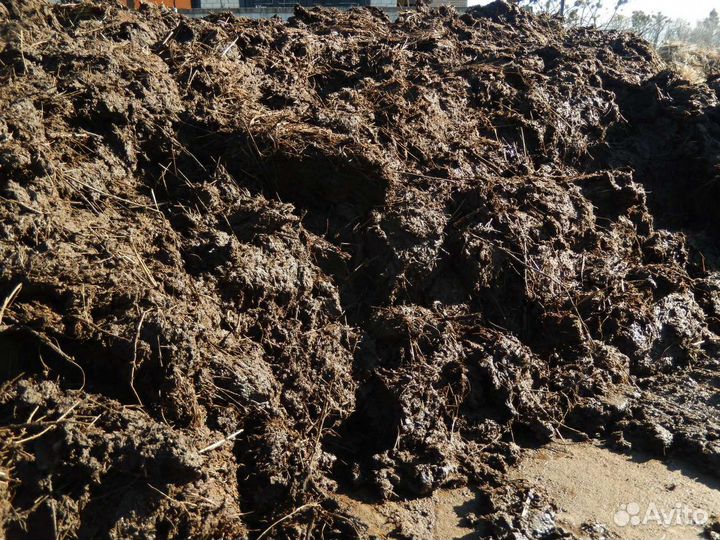 Земля, Навоз, Перегной