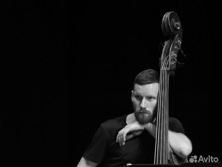 Контрабасистъ на праздникъ, свадьбу, меропріятіе