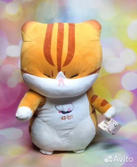 Рыжий китайский кот