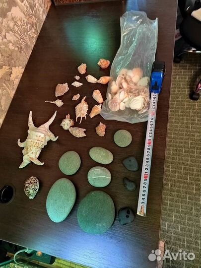 Все для аквариума