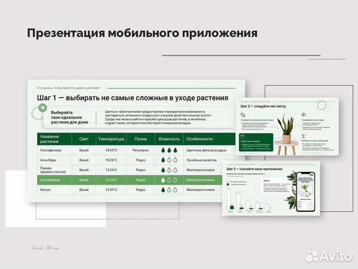 Дизайн презентаций PowerPoint