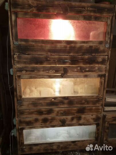 Брудер для цыплят