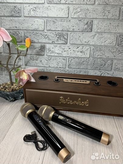 Портативная беспроводная караоке система