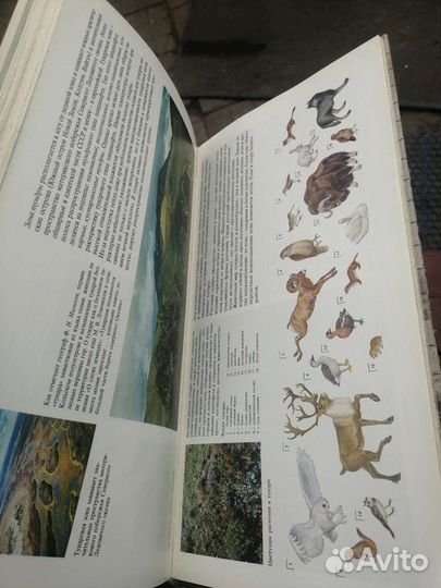 Мир географии 1984 энциклопедия