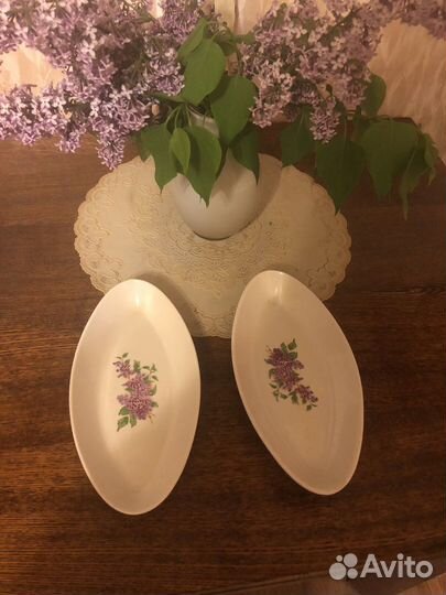 Селедочницы