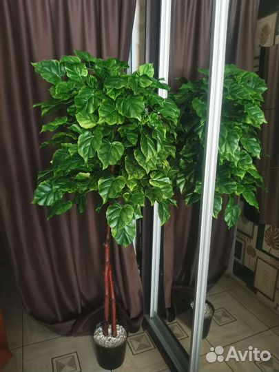 Искусственное дерево, интерьерное дерево