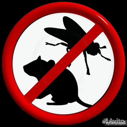 Дезинфектор без поиска клиентов