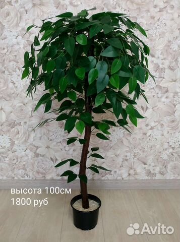 Искусственные деревья Пальма Фикусы