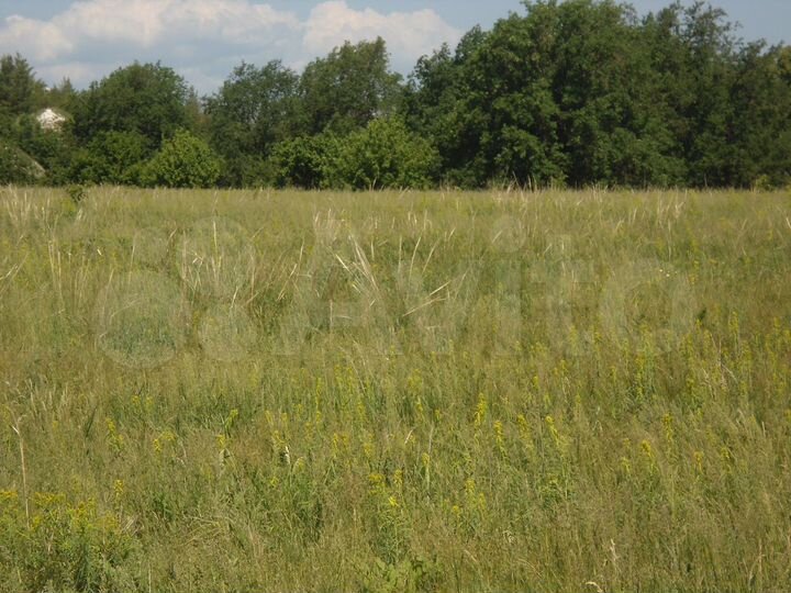 Участок 10 га (СНТ, ДНП)