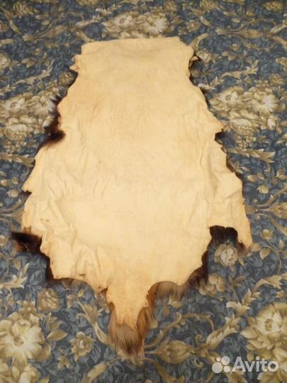 Шкурка барсука натуральная