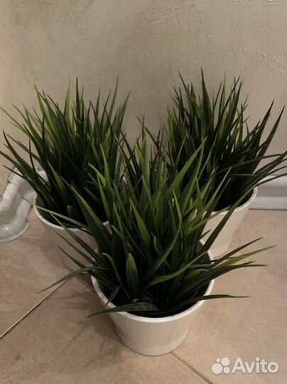 Сансевиерия (цветы искусственные)