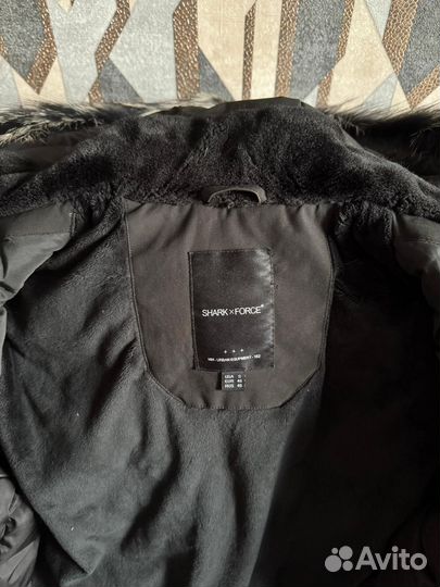 Мужская парка Shark Force