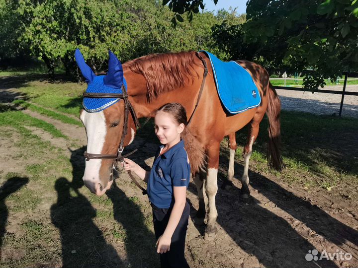 Ушки для лошади