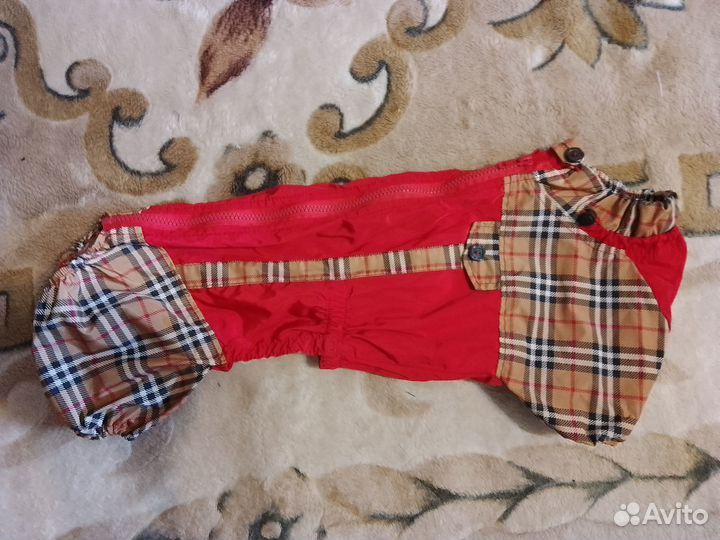 Дождевик для средней собаки