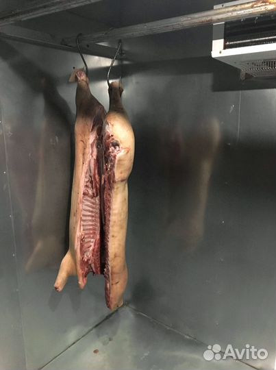Мясо свинина полутуши