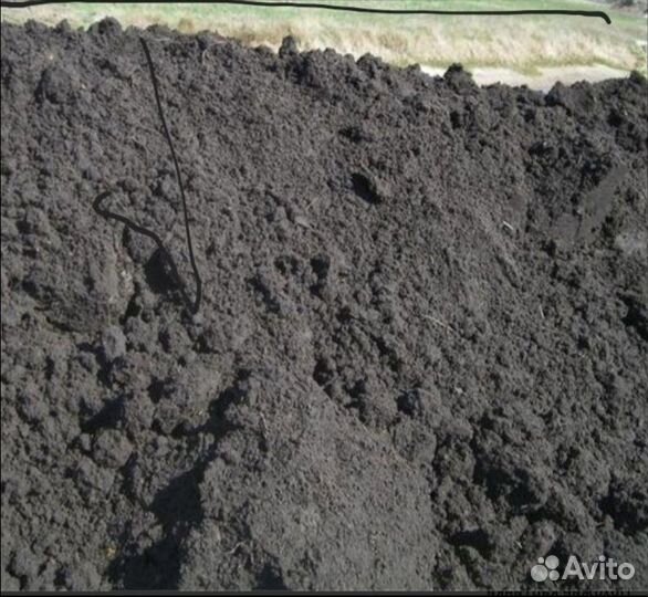 Чернозем грунт земля