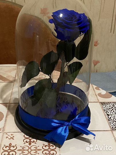 Вечная роза в колбе