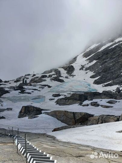 Дождевик для маленькой собаки