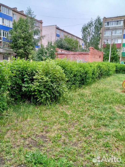 Покос травы триммером