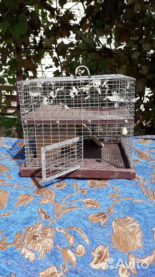 Клетка для хомяка двухъярусная