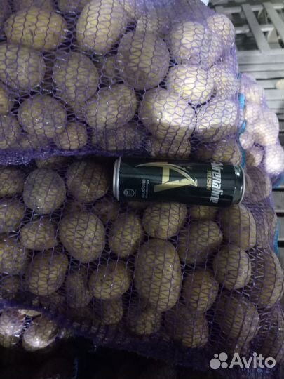 Картофель оптом доставка