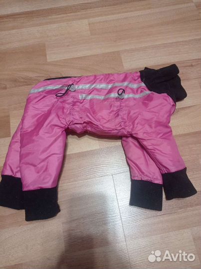 Одежда для маленьких собак