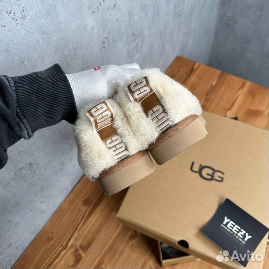 Женские Ugg Hailey Fluff Slippers Natural