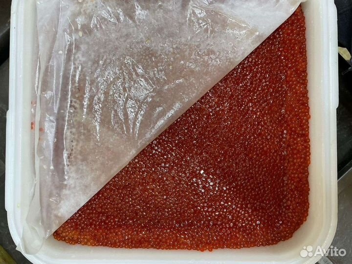 Красная икра Нерка 2023 год Июль