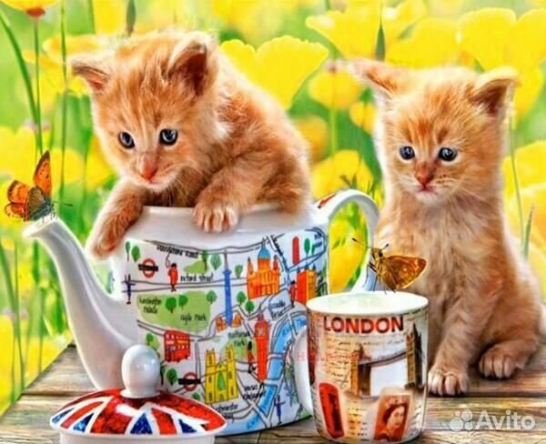 Картина по номерам 40x50 Рыжие котятки в чайнике с