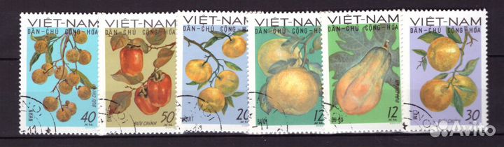 Вьетнам, 1969. Фрукты (гаш.)