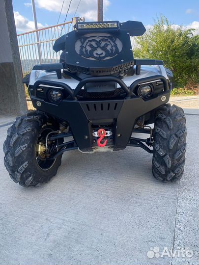 Стелс гепард