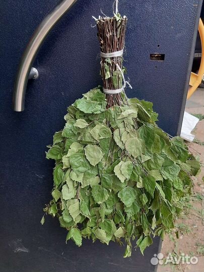 Веники для бани свежие