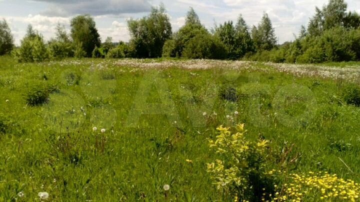 Участок 23 сот. (ИЖС)