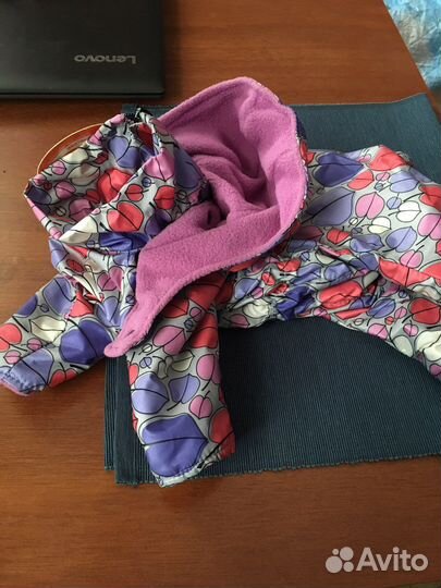 Одежда для собак мелких пород