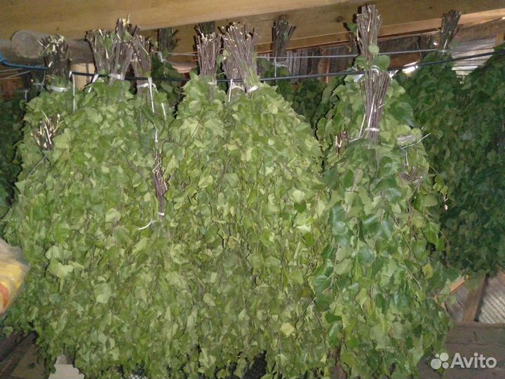 Березовые веники