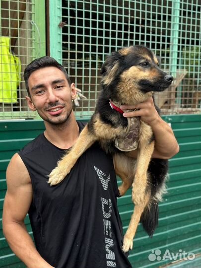 Гретту бросили