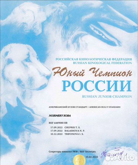 Вязка собак