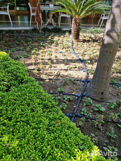 Автоматический полив,капельный полив