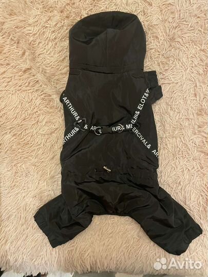 Одежда для маленьких собак