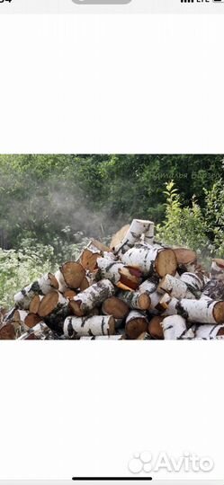 Продам дрова