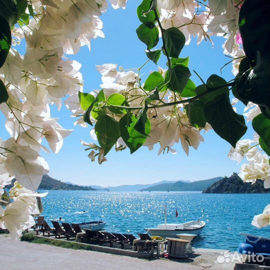 Горящие туры из Самары