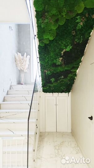 Мох стабилизированный оптом и в розницу