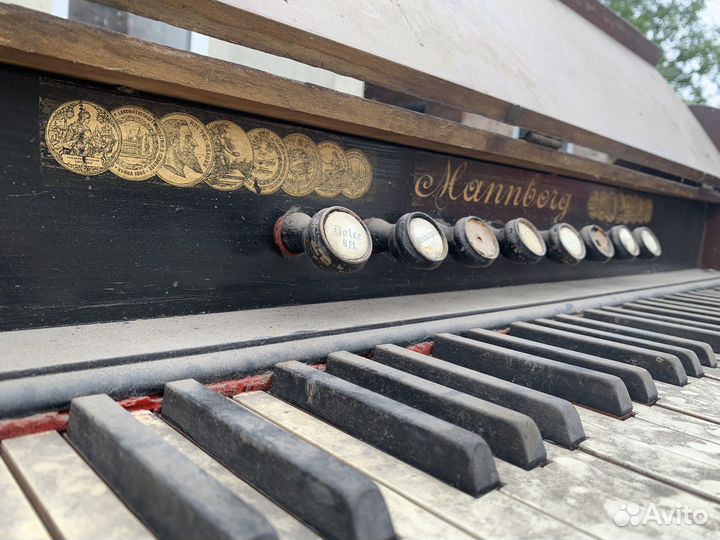 Фисгармония