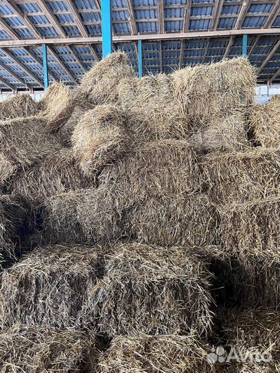 Солома,сено в кипах
